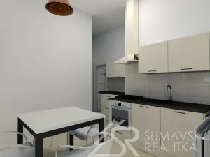 Prodej obchodního prostoru, Kašperské Hory, Náměstí, 161 m2