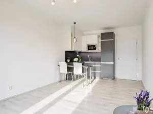 Pronájem bytu 1+kk, Olomouc, Věry Pánkové, 33 m2