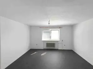 Pronájem rodinného domu, Vizovice, 290 m2