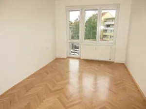 Pronájem bytu 2+1, Ústí nad Labem, Klíšská, 51 m2