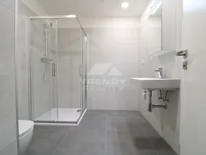 Pronájem bytu 2+kk, Plzeň, Heyrovského, 56 m2