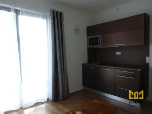 Pronájem bytu 1+kk, Praha - Žižkov, Hartigova, 22 m2