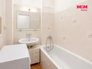 Prodej bytu 1+1, Pardubice - Zelené Předměstí, Devotyho, 37 m2