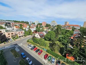 Prodej bytu 3+1, Praha - Žižkov, Květinková, 77 m2
