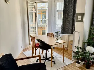 Prodej bytu 2+kk, Praha - Žižkov, Dalimilova, 50 m2