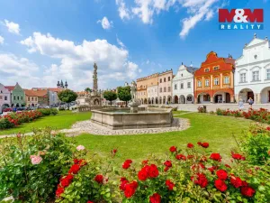Prodej rodinného domu, Telč - Telč-Vnitřní Město, náměstí Zachariáše z Hradce, 300 m2