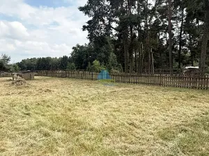 Prodej zahrady, Františkovy Lázně - Žírovice, 952 m2