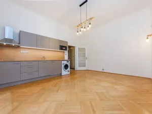 Pronájem bytu 1+kk, Praha - Karlín, Vítkova, 29 m2