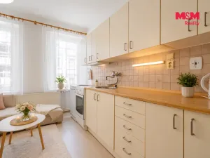 Prodej bytu 2+kk, České Budějovice - České Budějovice 6, Rudolfovská tř., 50 m2