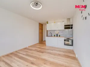 Prodej bytu 1+kk, Horní Bříza, U Vrbky, 22 m2