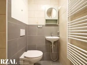 Pronájem bytu 1+kk, Plzeň, Heyrovského, 20 m2
