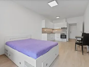 Pronájem bytu 1+kk, Zlín, Hřebíčkova, 30 m2