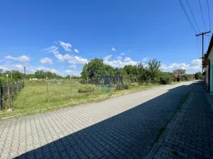 Prodej zahrady, Veselí nad Moravou, Rybáře, 460 m2