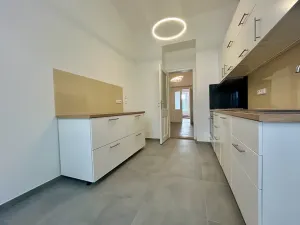 Pronájem bytu 4+1, Praha - Nové Město, Gorazdova, 145 m2
