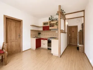 Pronájem bytu 2+kk, Liberec, nám. Tržní, 36 m2