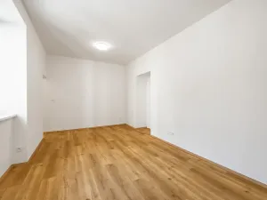Prodej bytu 1+1, Praha - Nusle, Dačického, 31 m2