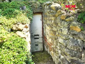 Prodej zahrady, Líšťany, 605 m2