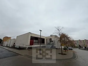 Prodej obchodního prostoru, Chomutov, Zahradní, 14070 m2