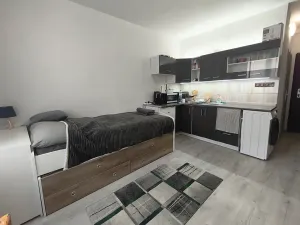 Prodej bytu 1+kk, Ústí nad Labem, Ladova, 21 m2