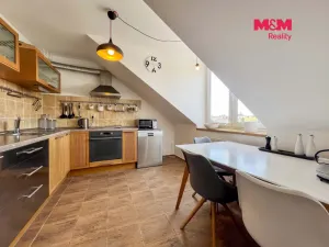 Pronájem bytu 4+1, Praha - Nusle, U družstva Repo, 93 m2