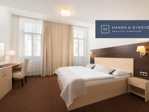Pronájem bytu 1+1, Brno, Anenská, 43 m2