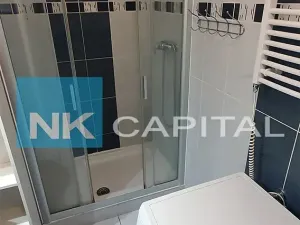 Pronájem bytu 3+1, Praha - Smíchov, Radlická, 100 m2