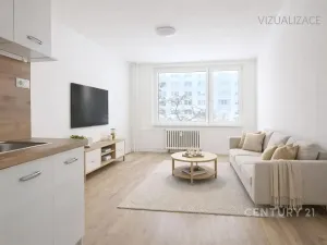 Prodej bytu 2+kk, Most, Františka Malíka, 40 m2
