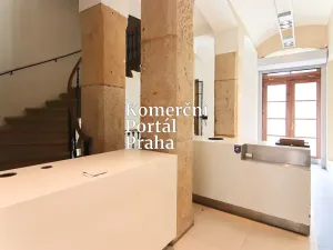 Pronájem obchodního prostoru, Praha - Nové Město, Václavské náměstí, 309 m2