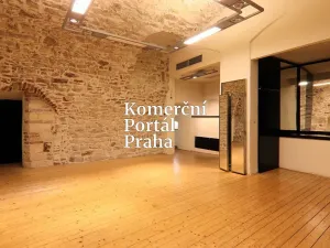 Pronájem obchodního prostoru, Praha - Nové Město, Václavské náměstí, 309 m2