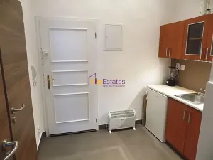 Pronájem bytu 1+kk, Praha - Žižkov, Vlkova, 26 m2