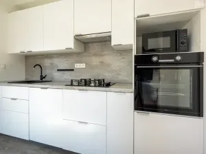 Prodej bytu 2+kk, Velké Opatovice, Jubilejní, 47 m2