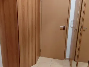 Pronájem bytu 1+kk, Pardubice, Bělehradská, 40 m2