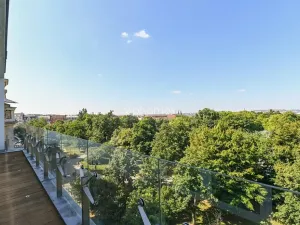 Pronájem bytu 6+kk a větší, Praha - Vinohrady, Chopinova, 204 m2