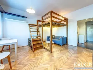 Pronájem bytu 1+kk, Hradec Králové, Smetanovo nábřeží, 27 m2