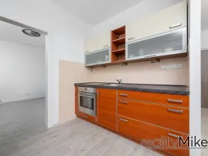 Prodej bytu 1+1, Hodkovice nad Mohelkou, Podlesí, 40 m2