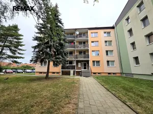 Prodej bytu 1+kk, Doloplazy, 31 m2