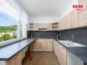 Prodej bytu 2+1, Ústí nad Labem - Střekov, Nová, 62 m2