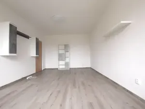 Pronájem bytu 1+1, Blatná, Na Bílé husi, 44 m2