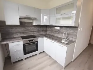 Pronájem bytu 1+1, Blatná, Na Bílé husi, 44 m2