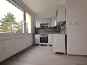 Pronájem bytu 1+1, Blatná, Na Bílé husi, 44 m2