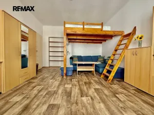 Pronájem bytu 1+1, Plzeň, Alešova, 50 m2