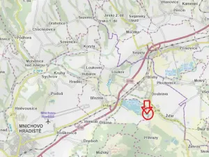 Prodej podílu lesa, Březina, 7250 m2