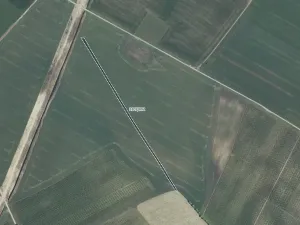 Prodej pole, Mutěnice, 5978 m2