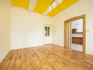 Prodej bytu 1+1, Dvůr Králové nad Labem, Čechova, 50 m2