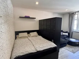 Prodej bytu 1+1, Teplice, Fügnerova, 48 m2