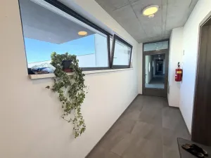 Pronájem bytu 1+kk, Rajhrad, Masarykova, 41 m2