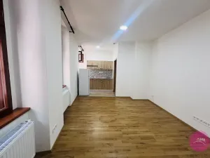 Pronájem bytu 1+kk, Olomouc, Uhelná, 30 m2