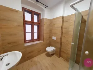 Pronájem bytu 1+kk, Olomouc, Uhelná, 30 m2