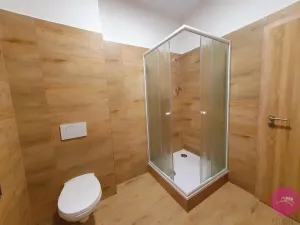 Pronájem bytu 1+kk, Olomouc, Uhelná, 30 m2