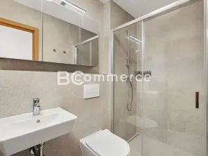 Pronájem bytu 1+kk, Brno, Dornych, 27 m2